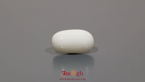 White Coral - 9 Carat