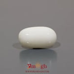 White Coral - 9 Carat