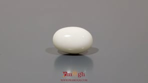 White Coral - 8.85 Carat