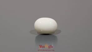 White Coral - 9.3 Carat