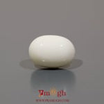 White Coral - 9.3 Carat