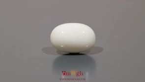 White Coral - 12.15 Carat