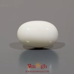 White Coral - 12.15 Carat