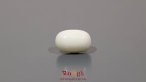 White Coral - 8.25 Carat