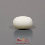White Coral - 8.25 Carat