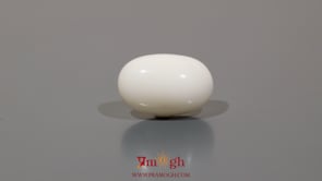 White Coral - 10.5 Carat