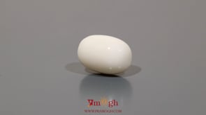 White Coral - 10.55 Carat