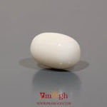 White Coral - 10.55 Carat