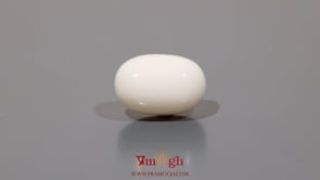 White Coral - 11.95 Carat