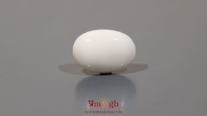 White Coral - 9.55 Carat