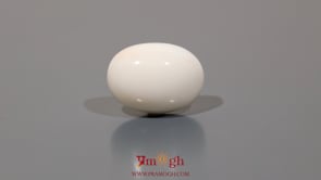 White Coral - 12.35 Carat