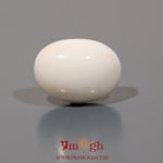 White Coral - 12.35 Carat