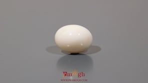 White Coral - 10 Carat