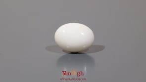 White Coral - 7.95 Carat
