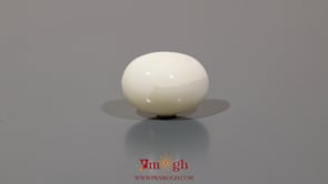 White Coral - 9.8 Carat