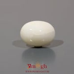 White Coral - 9.8 Carat