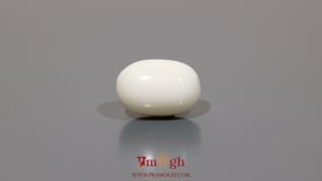 White Coral - 10.45 Carat