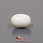White Coral - 10.45 Carat