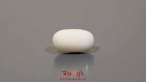 White Coral - 8.75 Carat