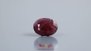 Indian Ruby - 7.8 Carat