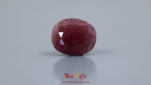 Indian Ruby - 11.4 Carat