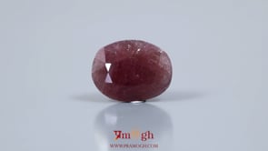 Indian Ruby - 9.75 Carat