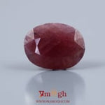 Indian Ruby - 15.4 Carat