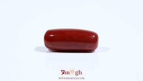 Red Coral - 9.9 Carat
