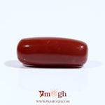 Red Coral - 9.9 Carat