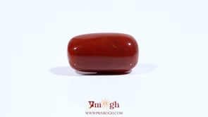 Red Coral - 10.9 Carat