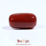 Red Coral - 10.9 Carat