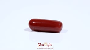 Red Coral - 8.3 Carat