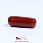 Red Coral - 8.3 Carat