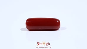 Red Coral - 9 Carat