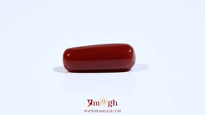 Red Coral - 7.2 Carat