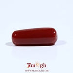 Red Coral - 7.2 Carat