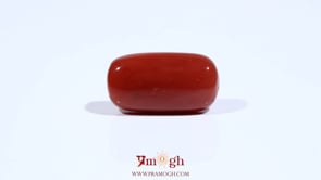 Red Coral - 10.8 Carat