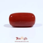 Red Coral - 10.8 Carat
