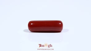 Red Coral - 7.65 Carat