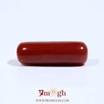 Red Coral - 7.65 Carat
