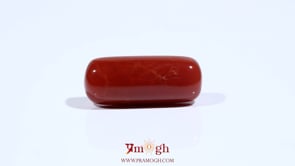 Red Coral - 11.15 Carat