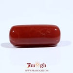 Red Coral - 11.15 Carat