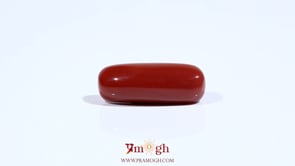 Red Coral - 8.25 Carat