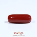 Red Coral - 8.25 Carat