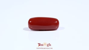 Red Coral - 8.1 Carat