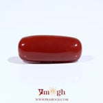 Red Coral - 8.1 Carat