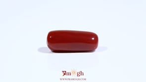 Red Coral - 7.8 Carat