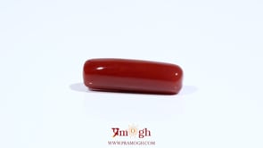 Red Coral - 7.7 Carat
