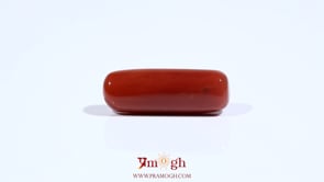 Red Coral - 7.8 Carat