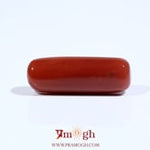 Red Coral - 7.8 Carat